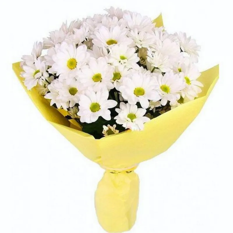 Букет из белых ромашковых хризантем, доставка Котельники